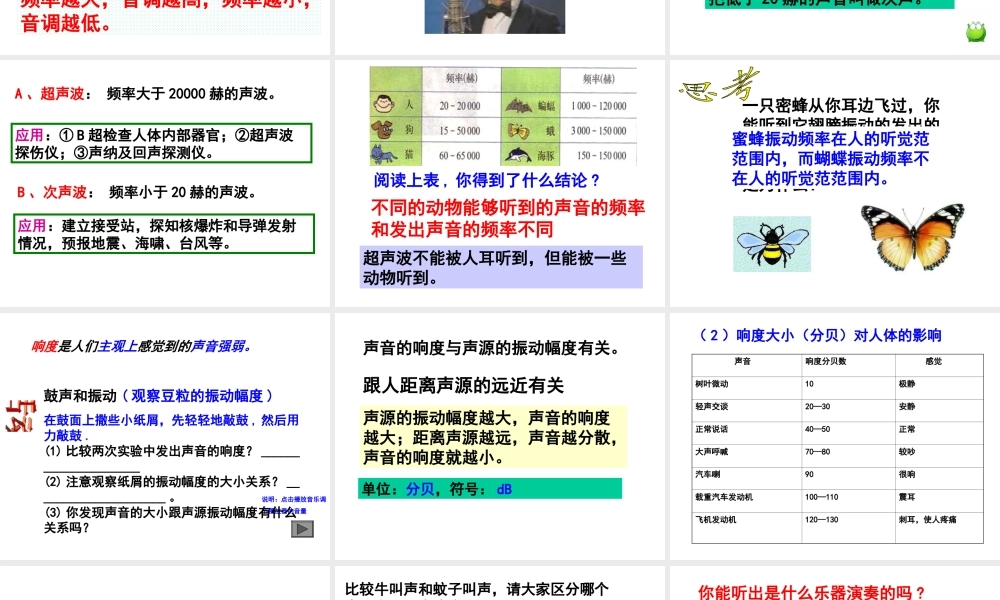 1.3耳和听觉（弟2课时）