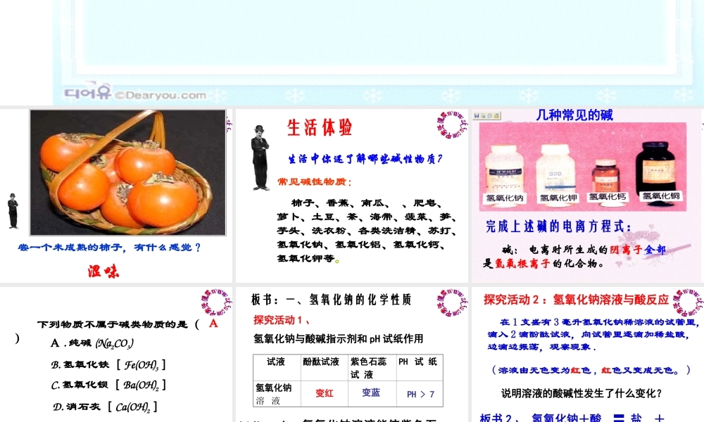 1.3探索碱的性质第一课时上课
