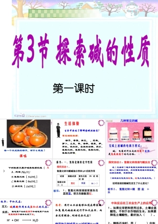 1.3探索碱的性质第一课时上课