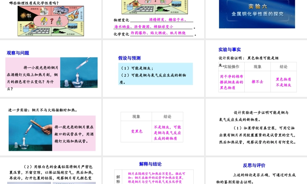 1.4 物质性质的研究课件