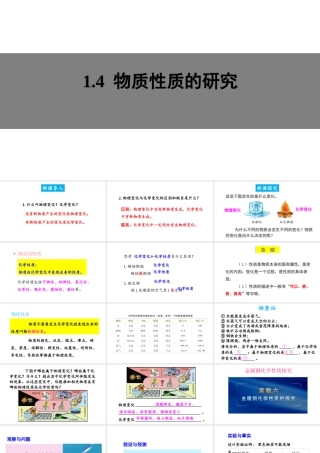 1.4 物质性质的研究课件