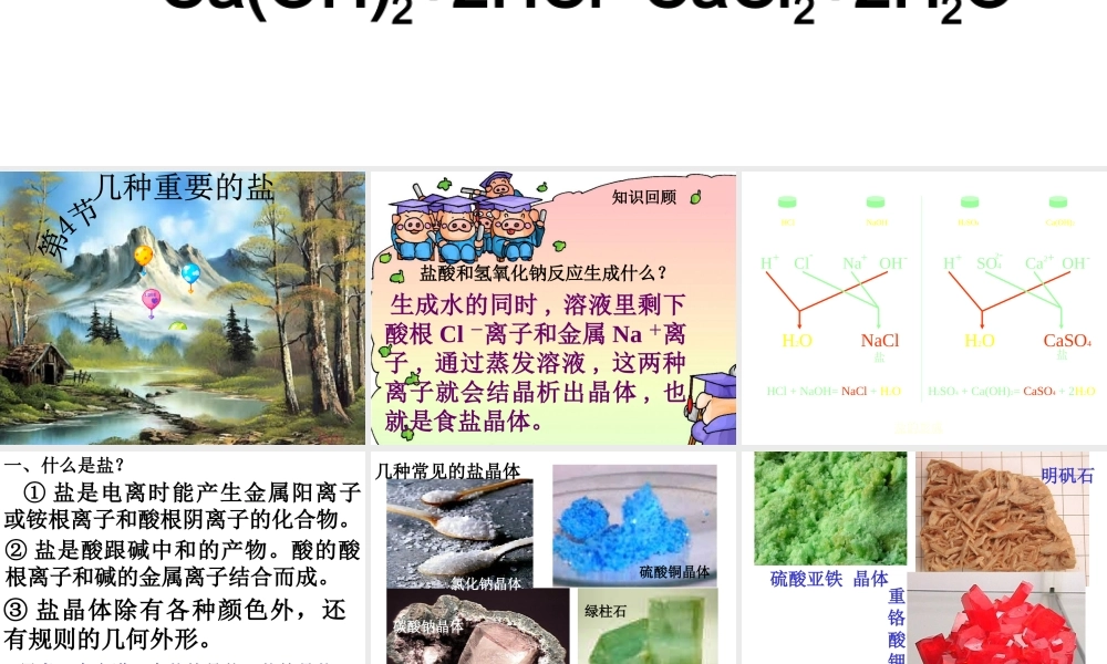 1.4几种重要的盐