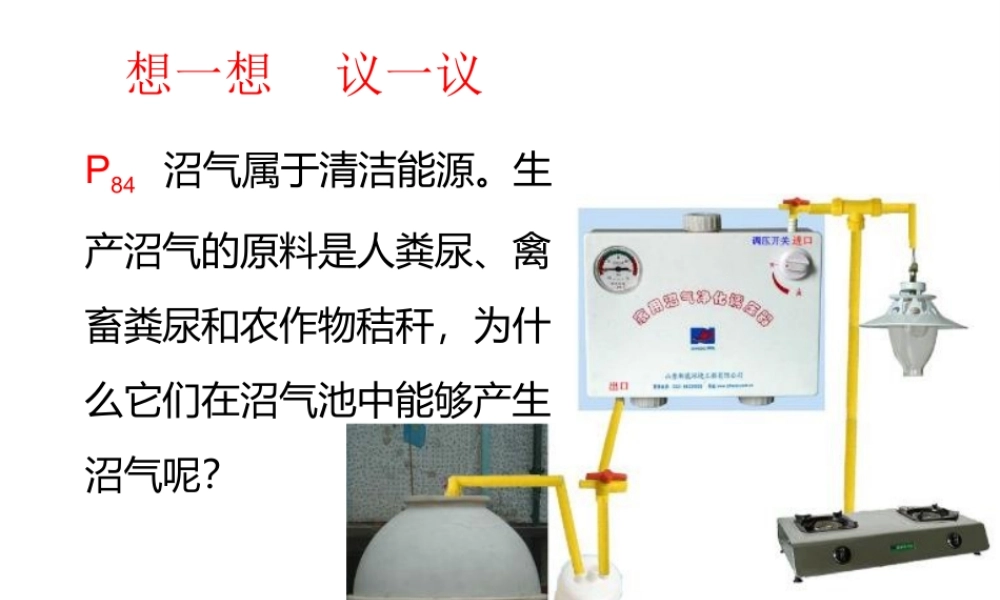 2013年八年级生物上册 5.4.5 人类对细菌真菌的利用课件 新人教版