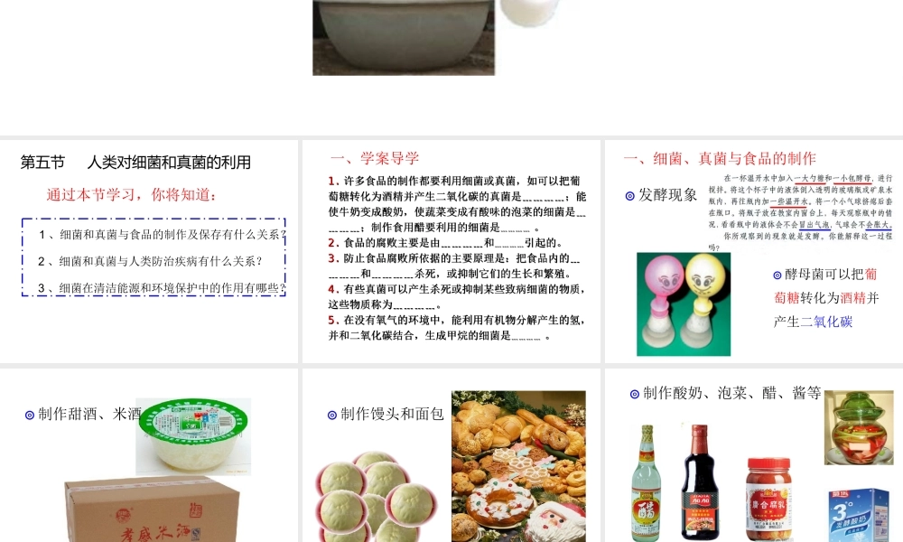 2013年八年级生物上册 5.4.5 人类对细菌真菌的利用课件 新人教版