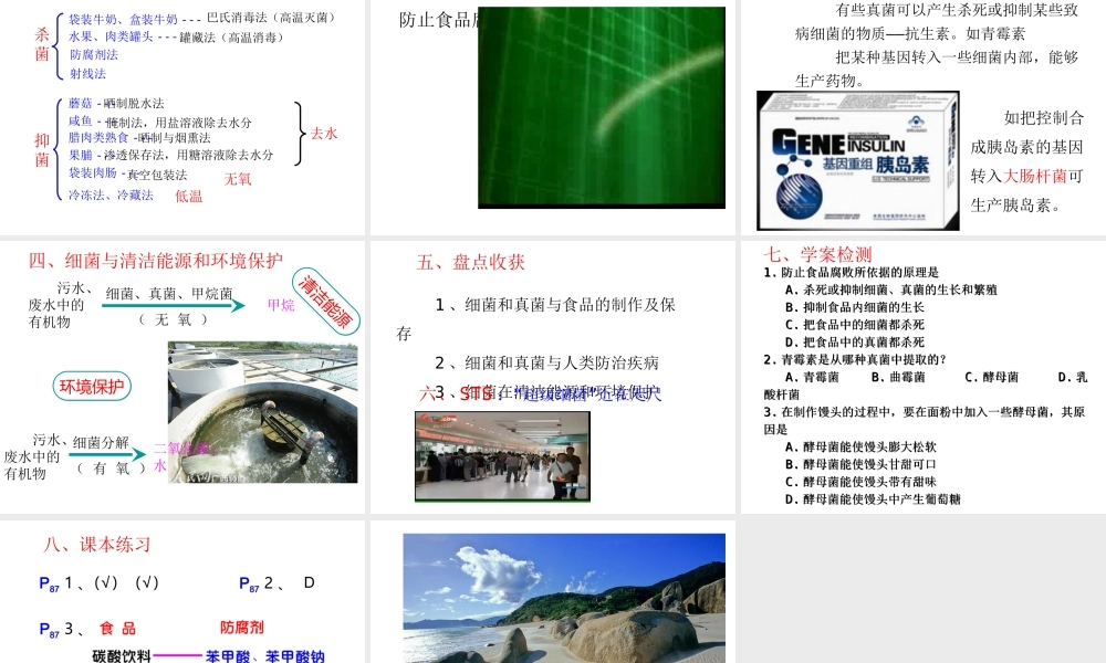 2013年八年级生物上册 5.4.5 人类对细菌真菌的利用课件 新人教版