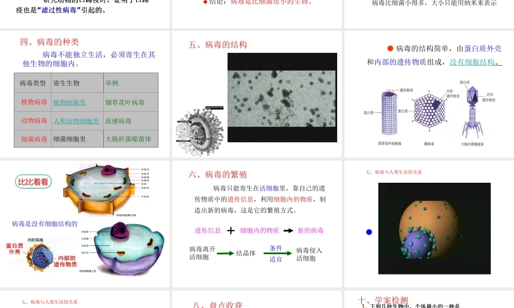 2013年八年级生物上册 5.5 病毒课件 新人教版