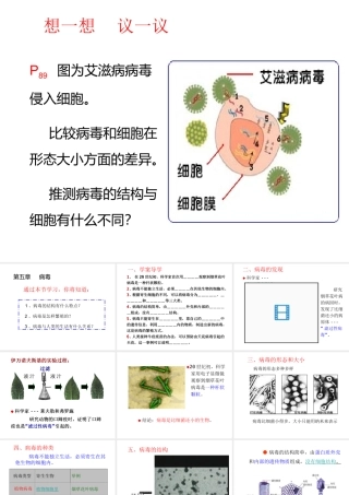2013年八年级生物上册 5.5 病毒课件 新人教版