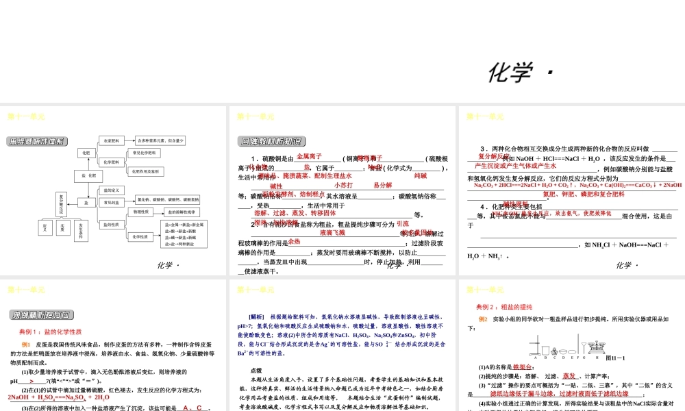 2012年九年级化学秋学期 第十一单元—盐 化肥配套课件  人教新课标版