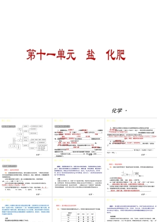 2012年九年级化学秋学期 第十一单元—盐 化肥配套课件  人教新课标版