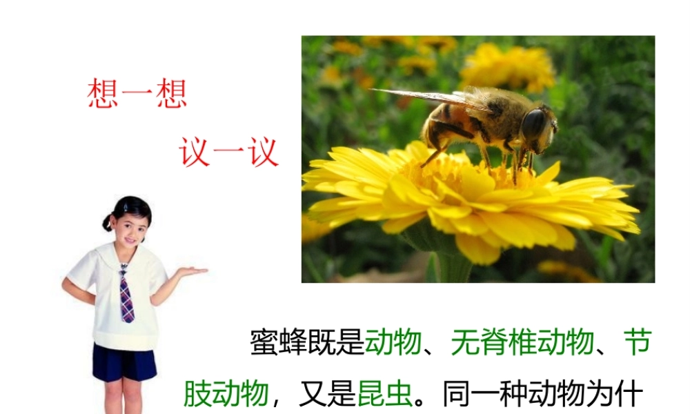 2013年八年级生物上册 6.1.2 从种到界课件 新人教版