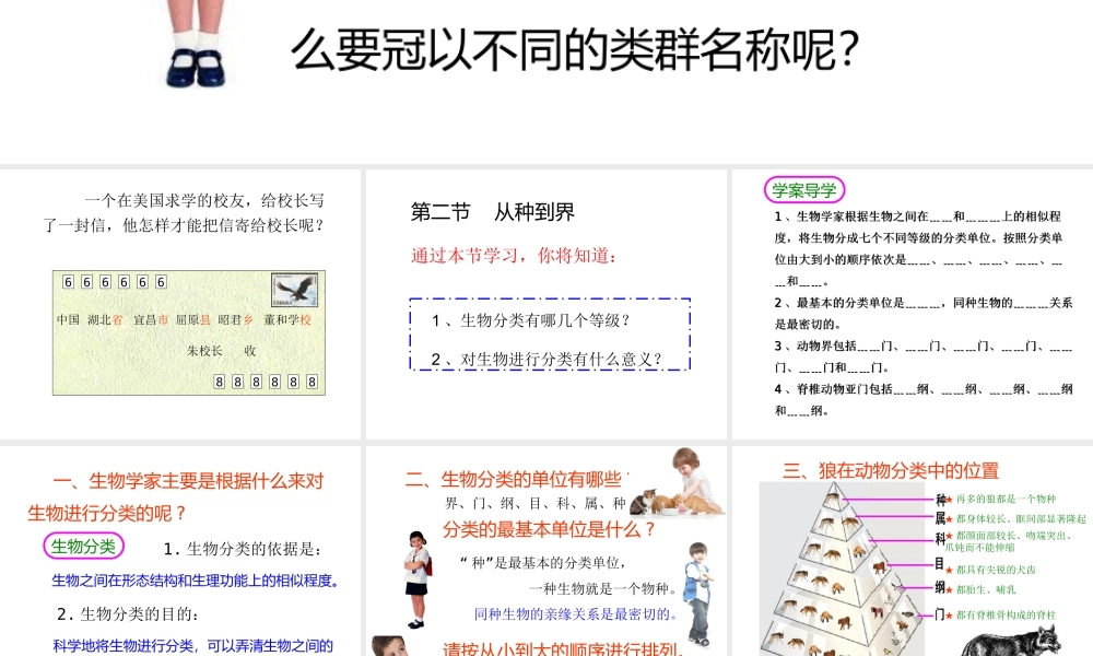 2013年八年级生物上册 6.1.2 从种到界课件 新人教版