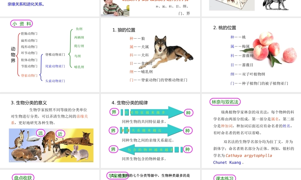2013年八年级生物上册 6.1.2 从种到界课件 新人教版