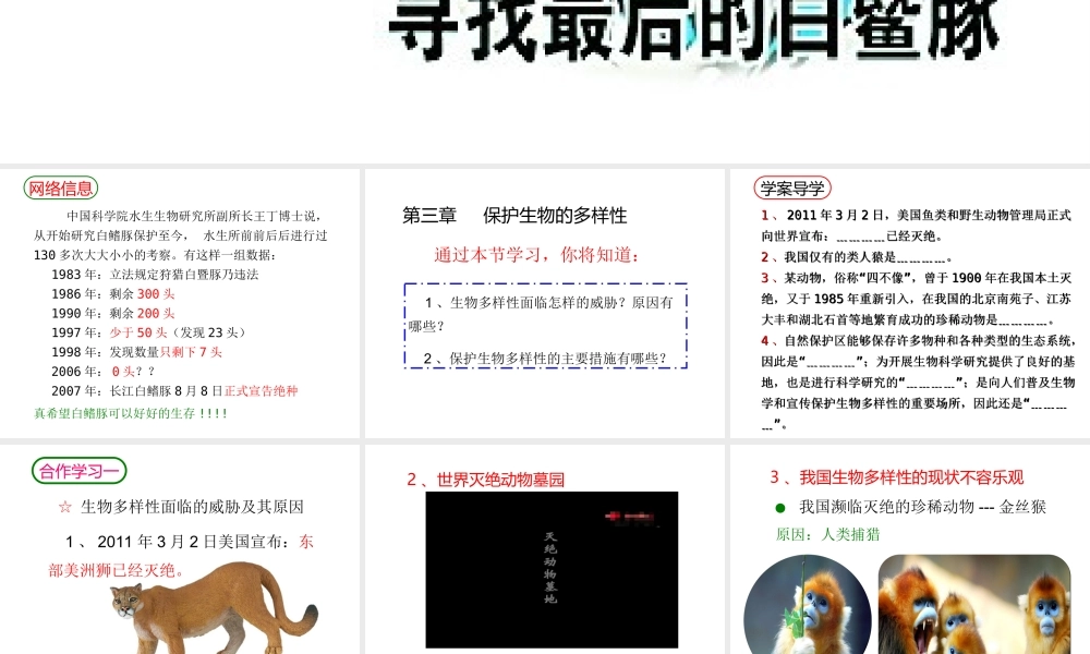 2013年八年级生物上册 6.3 保护生物的多样性课件 新人教版