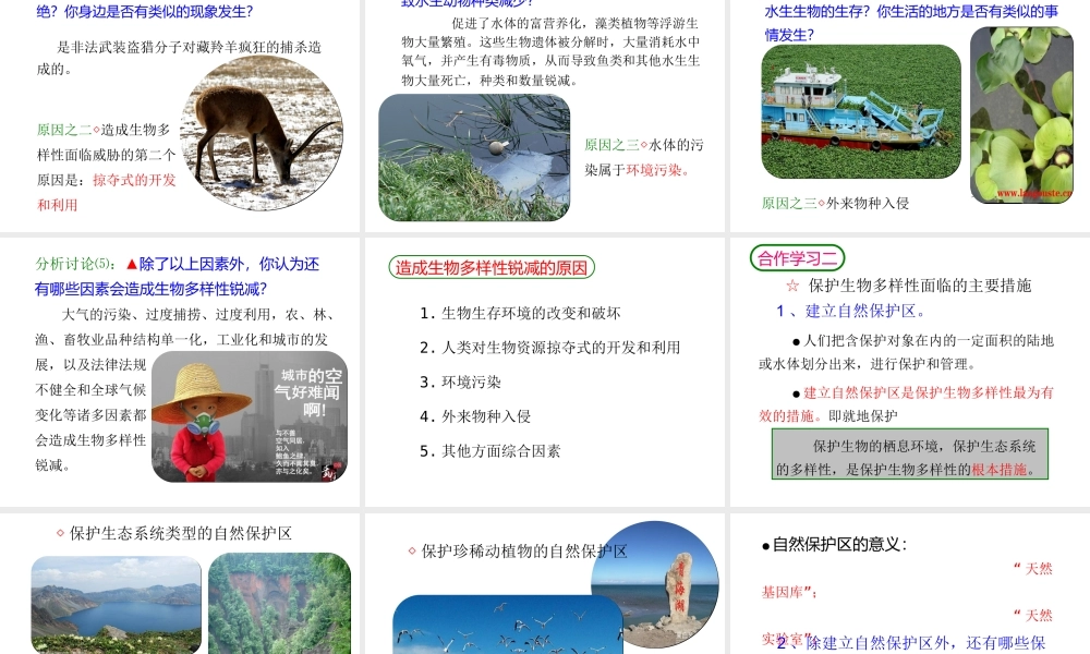 2013年八年级生物上册 6.3 保护生物的多样性课件 新人教版