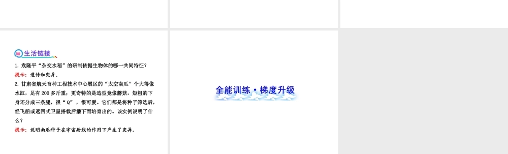2013年八年级生物上册 第二十章 生物的遗传和变异 6.20.1遗传和变异现象课件 北师大版
