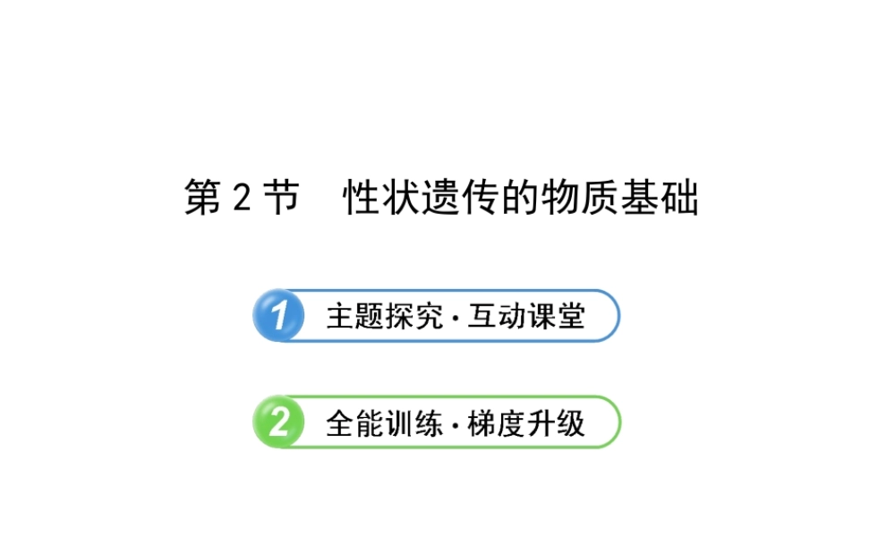 2013年八年级生物上册 第二十章 生物的遗传和变异 6.20.2性状遗传的物质基础课件 北师大版