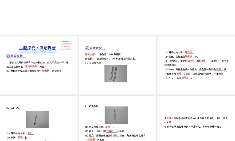 2013年八年级生物上册 第二十章 生物的遗传和变异 6.20.2性状遗传的物质基础课件 北师大版
