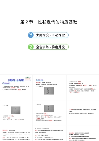 2013年八年级生物上册 第二十章 生物的遗传和变异 6.20.2性状遗传的物质基础课件 北师大版