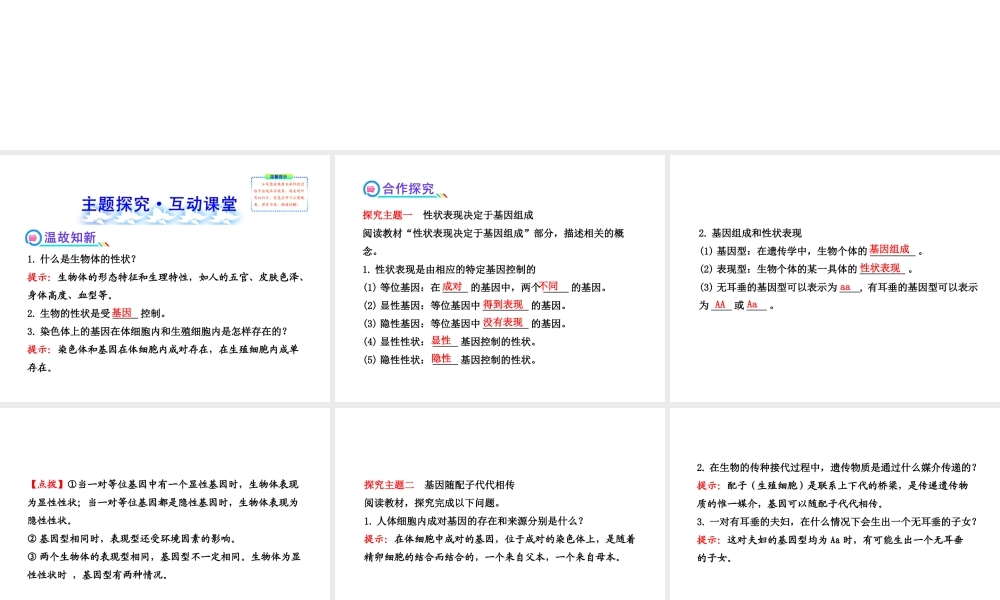 2013年八年级生物上册 第二十章 生物的遗传和变异 6.20.3性状遗传有一定的规律性课件 北师大版