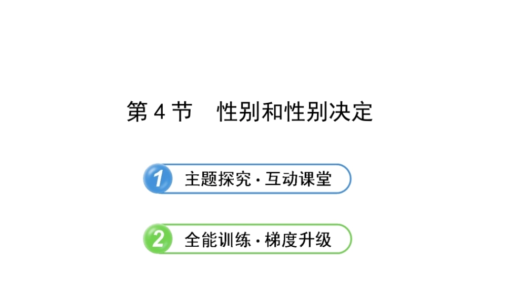 2013年八年级生物上册 第二十章 生物的遗传和变异 6.20.4性别和性别决定课件 北师大版