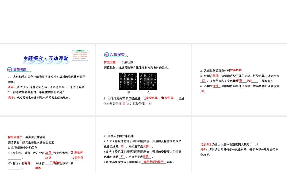 2013年八年级生物上册 第二十章 生物的遗传和变异 6.20.4性别和性别决定课件 北师大版