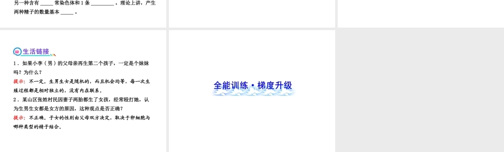 2013年八年级生物上册 第二十章 生物的遗传和变异 6.20.4性别和性别决定课件 北师大版