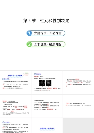 2013年八年级生物上册 第二十章 生物的遗传和变异 6.20.4性别和性别决定课件 北师大版