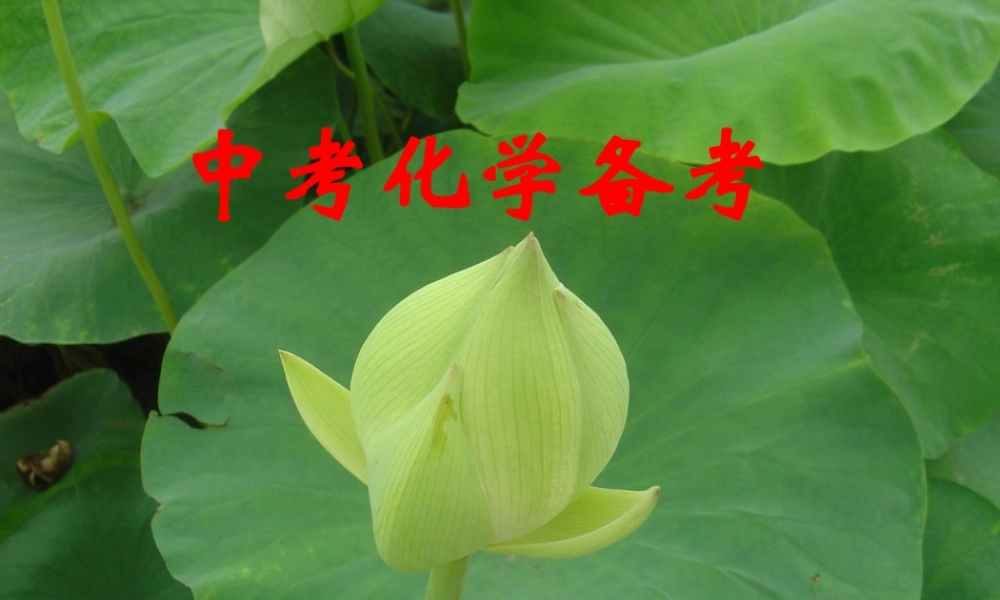 08年中考化学复习备考