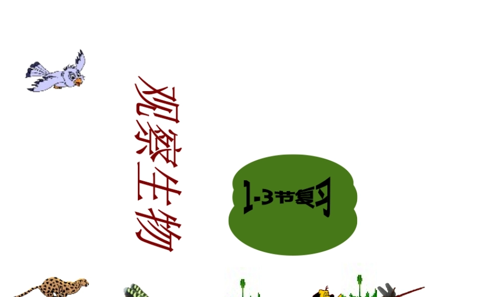 2012年七年级科学上册 第二章 观察生物1-3节复习课件 浙教版