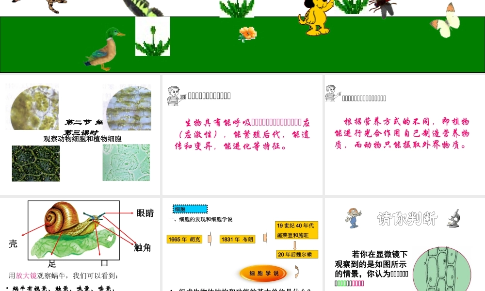 2012年七年级科学上册 第二章 观察生物1-3节复习课件 浙教版