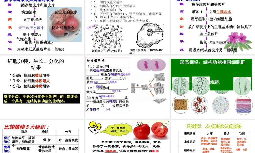 2012年七年级科学上册 第二章 观察生物1-3节复习课件 浙教版