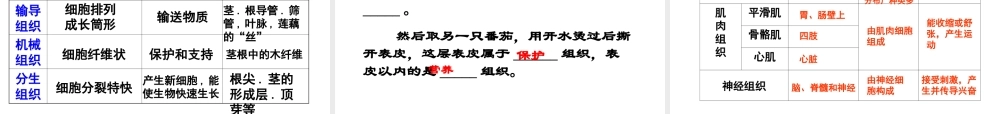 2012年七年级科学上册 第二章 观察生物1-3节复习课件 浙教版