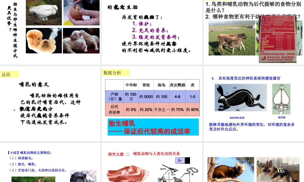 2013年八年级生物上册 第七节 哺乳动物课件 新人教版