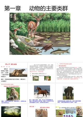 2013年八年级生物上册 第七节 哺乳动物课件 新人教版