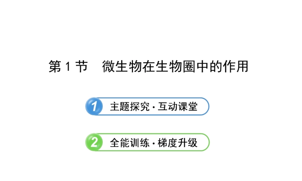 2013年八年级生物上册 第十八章 生物圈中的微生物 5.18.1微生物在生物圈中的作用课件 北师大版