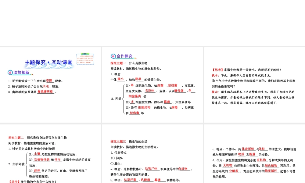 2013年八年级生物上册 第十八章 生物圈中的微生物 5.18.1微生物在生物圈中的作用课件 北师大版