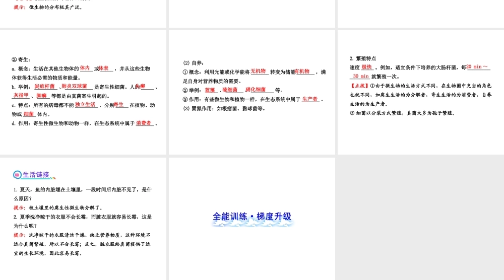 2013年八年级生物上册 第十八章 生物圈中的微生物 5.18.1微生物在生物圈中的作用课件 北师大版