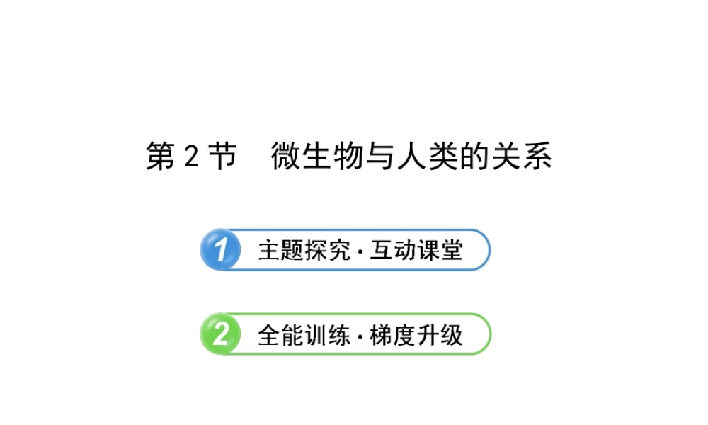 2013年八年级生物上册 第十八章 生物圈中的微生物 5.18.2微生物与人类的关系课件 北师大版