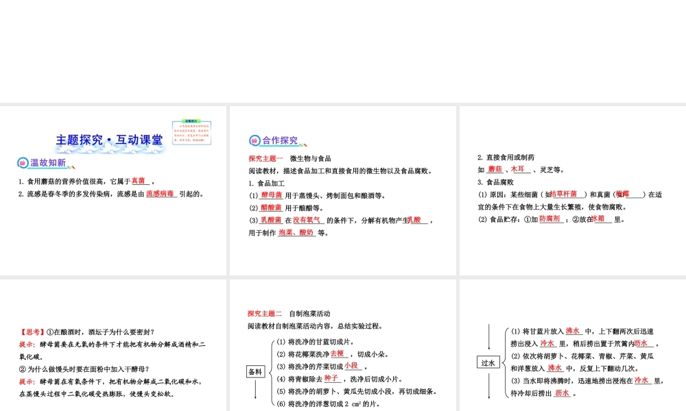 2013年八年级生物上册 第十八章 生物圈中的微生物 5.18.2微生物与人类的关系课件 北师大版