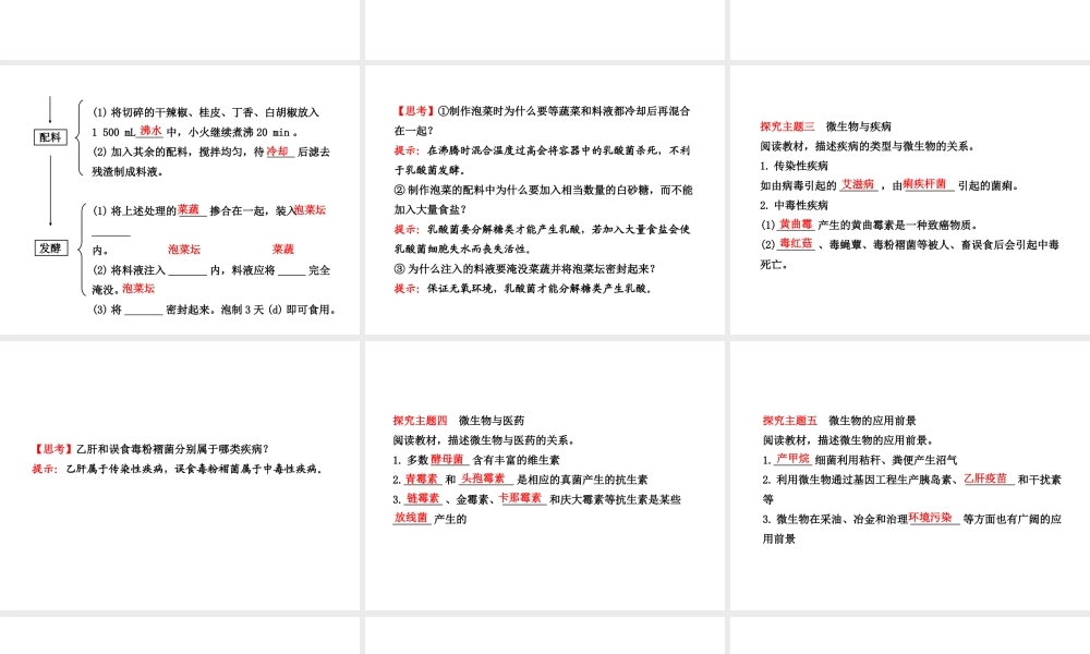 2013年八年级生物上册 第十八章 生物圈中的微生物 5.18.2微生物与人类的关系课件 北师大版