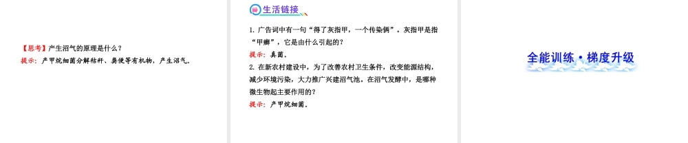 2013年八年级生物上册 第十八章 生物圈中的微生物 5.18.2微生物与人类的关系课件 北师大版