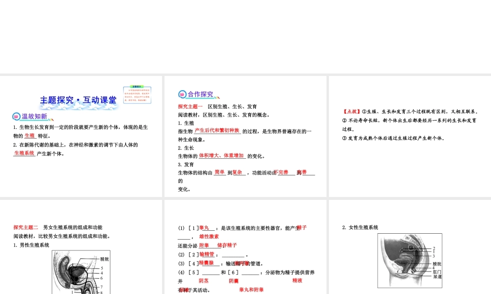 2013年八年级生物上册 第十九章 生物的生殖和发育 6.19.1人的生殖和发育（一）课件 北师大版