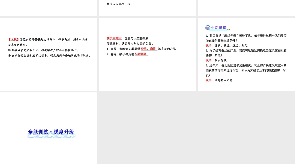 2013年八年级生物上册 第十九章 生物的生殖和发育 6.19.2动物的生殖和发育（一）课件 北师大版