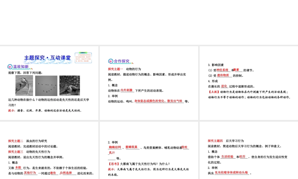2013年八年级生物上册 第十六章 动物的行为 5.16.1先天性行为和后天学习行为课件 北师大版