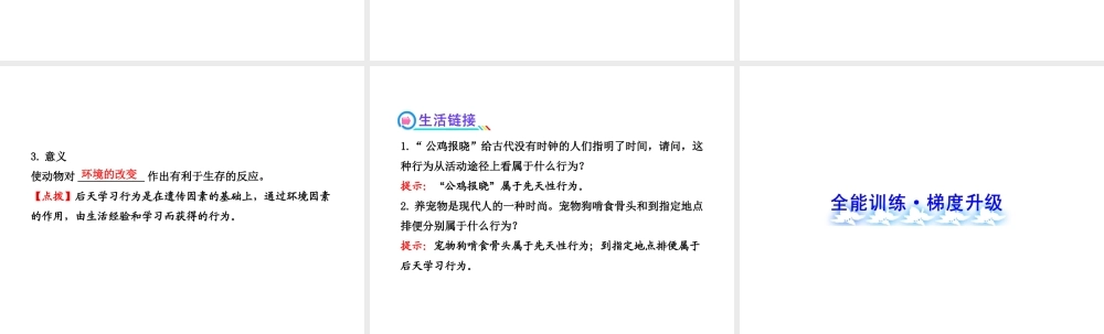 2013年八年级生物上册 第十六章 动物的行为 5.16.1先天性行为和后天学习行为课件 北师大版