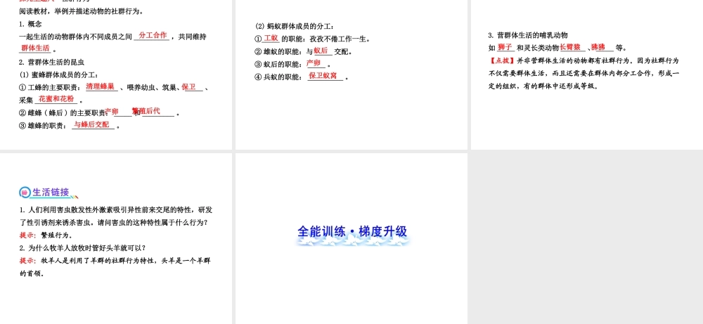 2013年八年级生物上册 第十六章 动物的行为 5.16.2动物行为的主要类型课件 北师大版