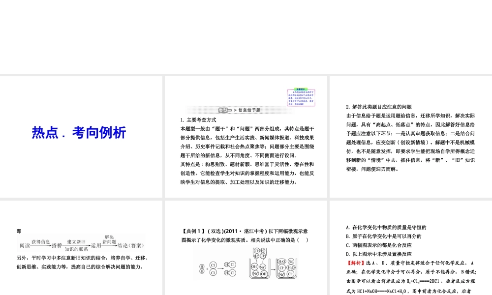2012年中考化学第二轮复习 专题二信息给予与开发类试题
