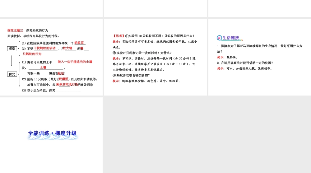 2013年八年级生物上册 第十六章 动物的行为 5.16.3动物行为的研究课件 北师大版