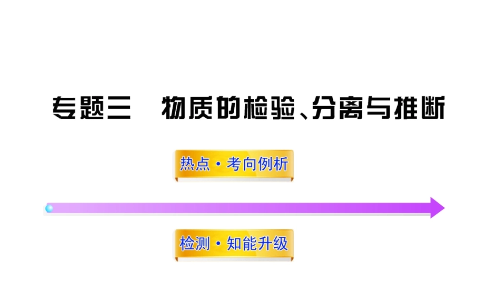 2012年中考化学第二轮复习 专题三物质的检验、分离与推断