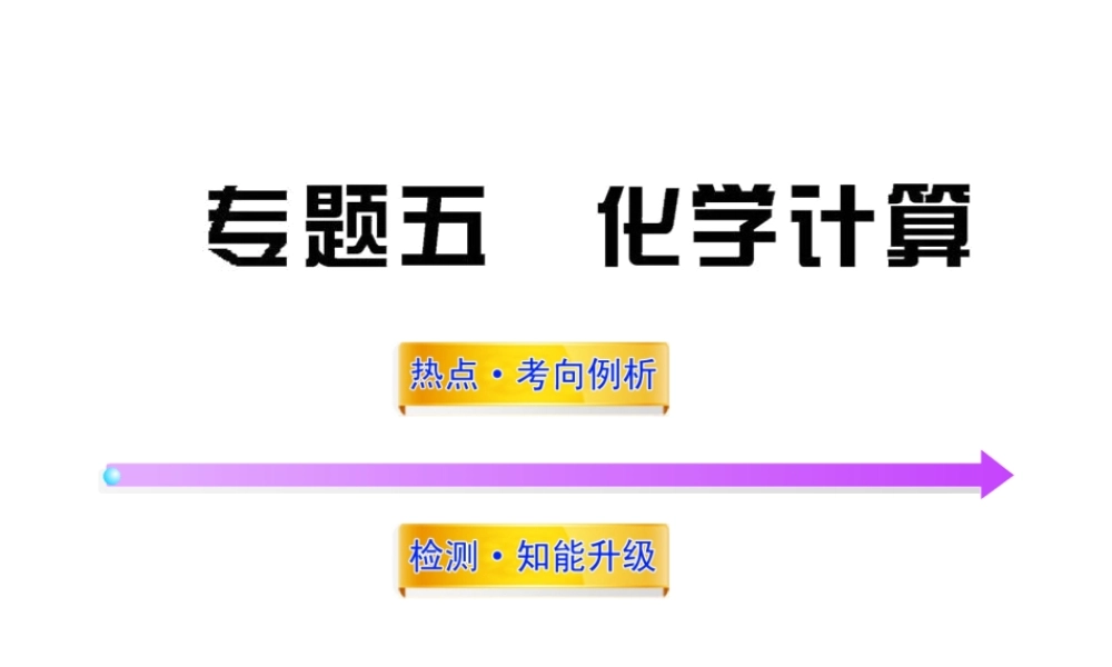 2012年中考化学第二轮复习 专题五化学计算